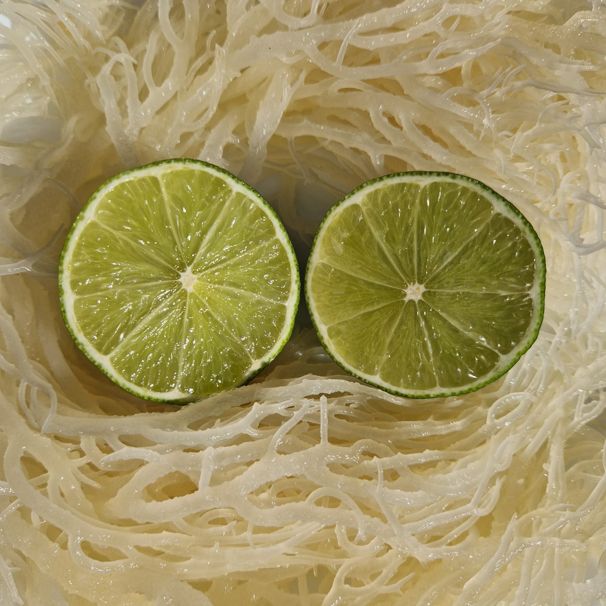 Sea moss Lime